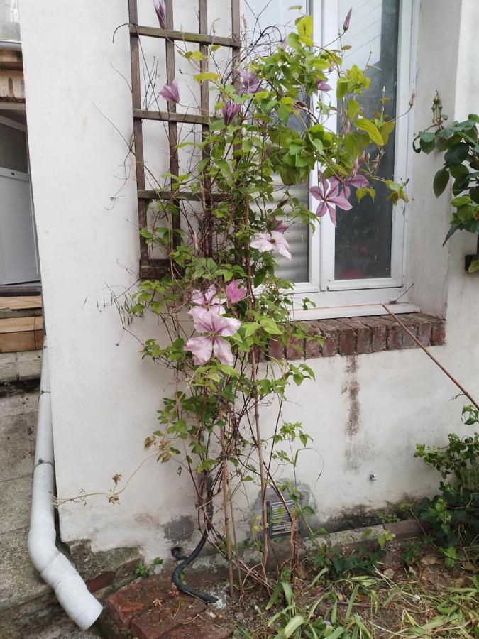 Residence Alexia سانت-فاليري-أون-كو المظهر الخارجي الصورة